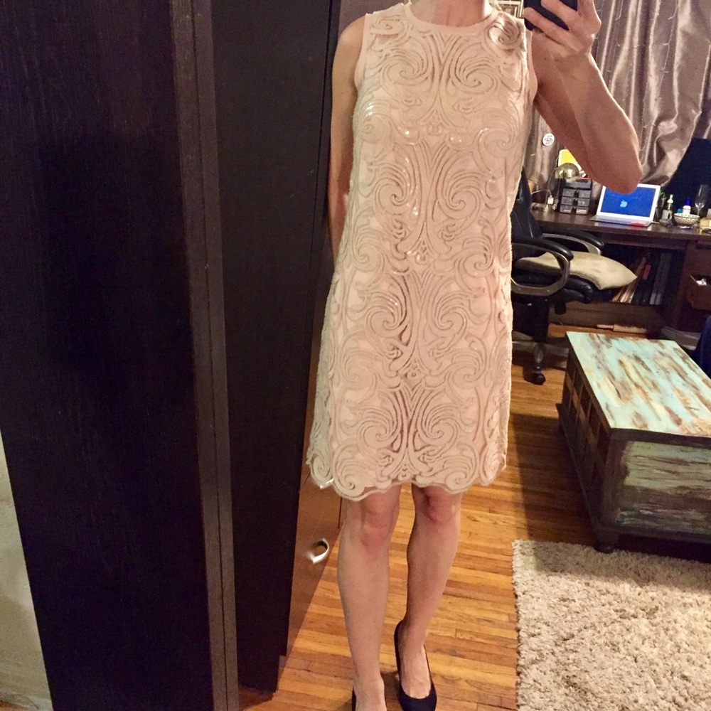 Vince Camuto Blush Lace Dress - Picture 5 of 13